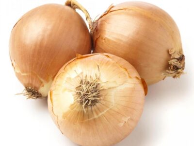 Vidalia Onion Fundraiser Brings Funds to Millbrook Community since 2011