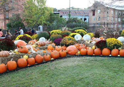 FALL CALENDAR: New Events Added; Make Plans to See and Enjoy This Season