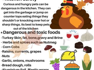 HSEC NEWS: Though a Tough Year, We Have Much to Be Thankful For