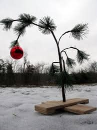 Oh, Christmas Tree! Oh, Christmas Tree! Memories of Days Gone By