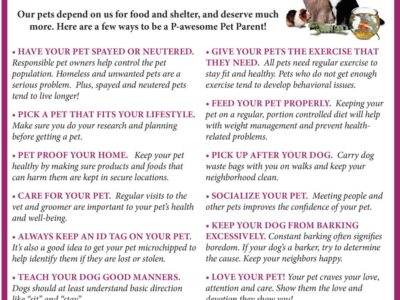 February is Responsible Pet Ownership Month; See Guidelines from AVMA