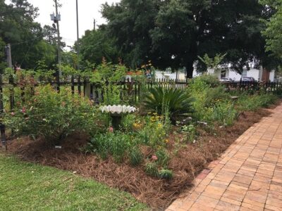 Autauga County Master Gardeners Plant Sale Set for this Saturday; Weather Plan in Place