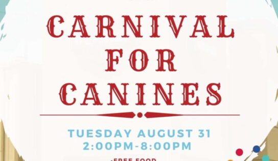 HSEC News: Multiple Events to Benefit Shelter Coming Soon