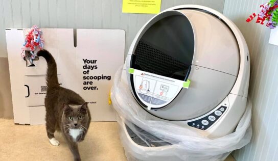 Want to Win a $500 Litter Robot? HSEC Has Multiple Events coming in September
