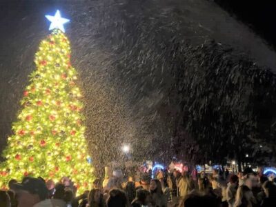 Millbrook Tree Lighting, Parade and Festival Coming Soon; What You Need to Know