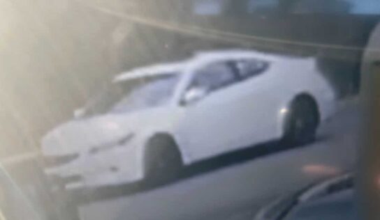 Tallapoosa Investigators Seek Three Runaways from Boys & Girls Ranches of Alabama