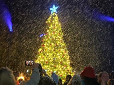 Largest Crowd Ever for Tree Lighting in Millbrook at Village Green