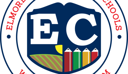 Elmore County School Board hears report from Examiner after Audit Report