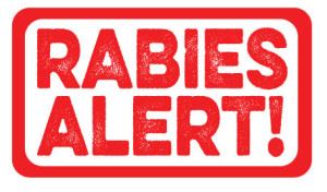 Important Info concerning Rabies; Family Pet Recently Tested Positive in Elmore County