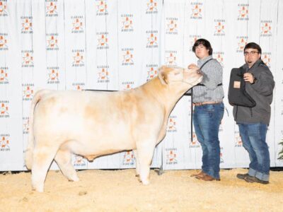 Local Youth Bring Home Awards From State Livestock Show held in Montgomery