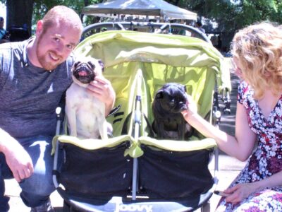 PAHS’ Bark in the Park Sees Biggest Crowd in Recent Memory