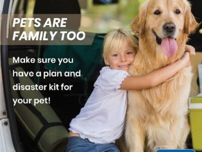HSEC News: June is National Pet Preparedness Month