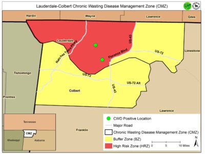 Deer Hunters: Mandatory CWD Testing This Weekend for Lauderdale and Colbert Counties