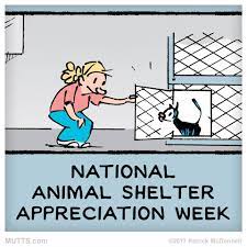 <strong>HSEC News: It is National Animal Shelter Appreciation Week across the Country</strong>