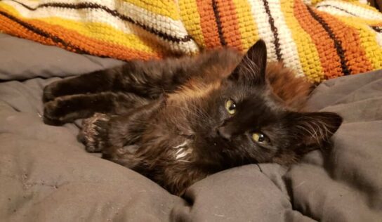 Column: Just checking in on everyone! Here is hoping for a Blessed New Year for all of us!