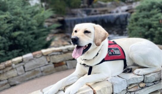 <strong>Charity Event April 15 to benefit Service Dogs Alabama; Hosted by American Legion Post 133</strong>