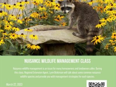 Elmore County Extension: Nuisance Wildlife Management info coming March 22; Register today