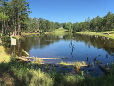 Spring Open Trails Day at Wehle Joins in Chunnenuggee Fair Celebration on April 15
