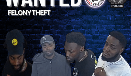 Prattville – Police Seeking Identity of Theft of Property 2nd Degree Suspects