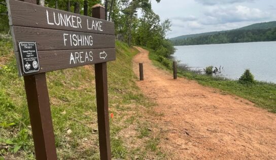 Oak Mountain State Park opens new trail for running, biking