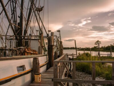 Alabama State Waters Open for Shrimping on June 1