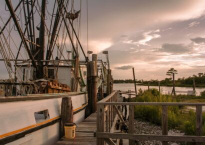 Alabama State Waters Open for Shrimping on June 1