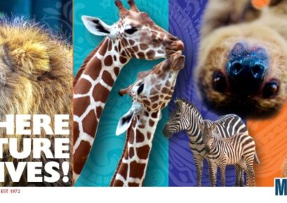 Montgomery Zoo’s Thrifty Tuesdays Return