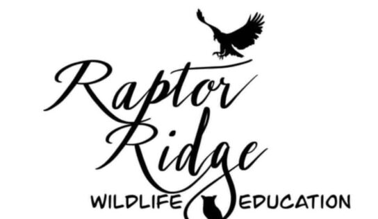 ‘Reading with Raptors’ Coming to Millbrook Public Library Tuesday