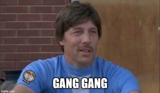 New Laws enacted for ‘criminal enterprises’ and the use of Firearms