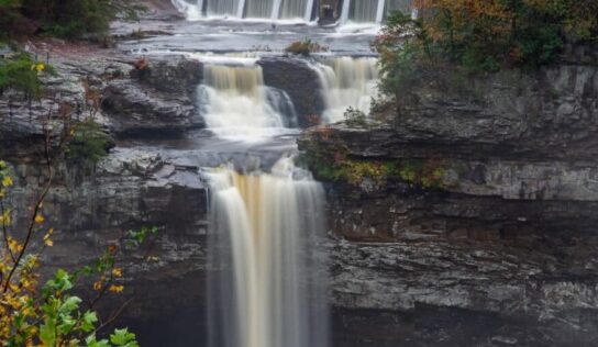 Looking for Fall Foliage? Alabama State Parks are a Great Start