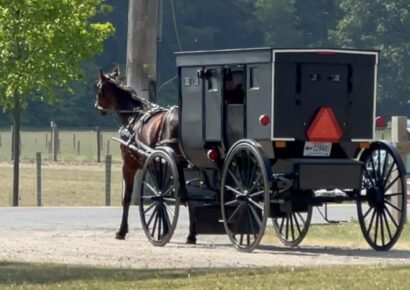 Amish craftsmen showcase unique skills this weekend in Millbrook