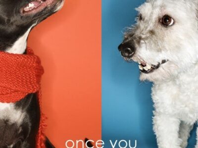 For the Love of Mutts: National Mutts Day is Dec. 2