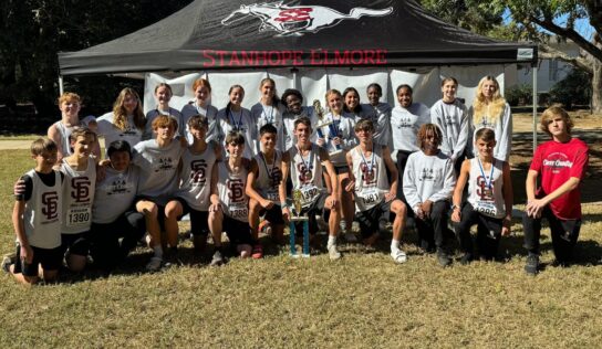 SEHS Cross Country Impresses at Sectionals