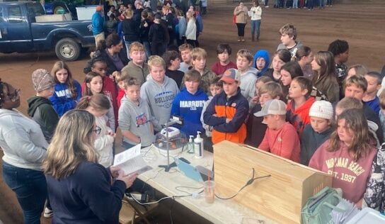 Farm City Day Connects Students to Agricultural Roots  