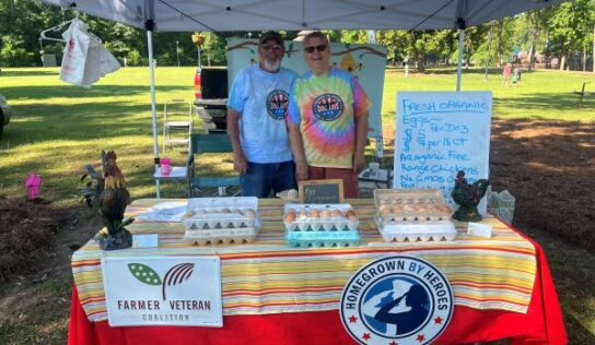 Farm fresh and hand picked, Millbrook kicks off first farmers market of the season 