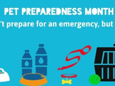 June is National Pet Preparedness Month; Now is the time to make a plan
