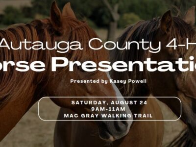 Registration open for Autauga County 4-H Horse presentation Aug. 24