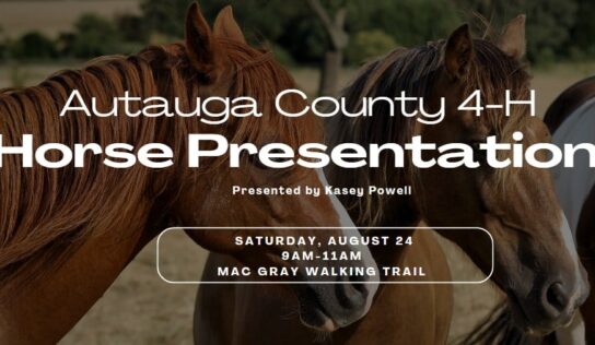 Registration open for Autauga County 4-H Horse presentation Aug. 24