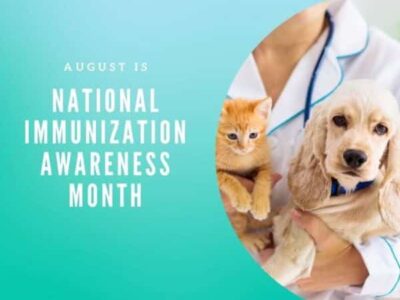 Are your pets up to date? August is National Immunization Awareness Month