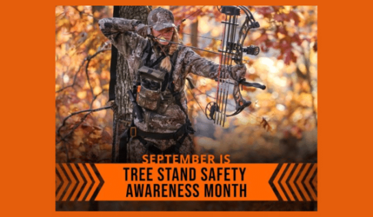 Hunting season loading… But first tree stand safety awareness