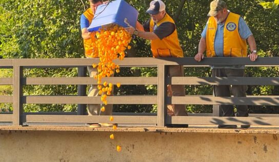 Lions Club Duck Race brings cash prizes, funds for contributions
