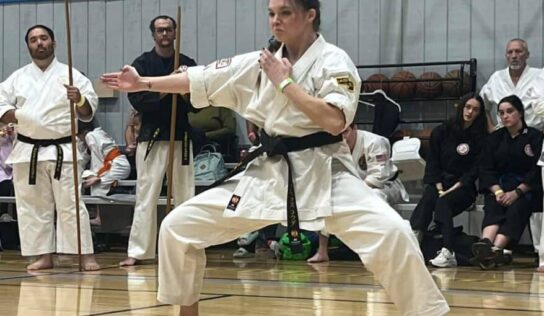 Martial arts competition, festival draws crowd to Grandview YMCA