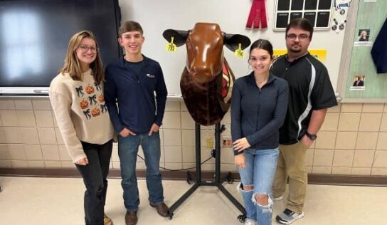 New bovine simulator brings agriscience learning to life at Billingsley School  