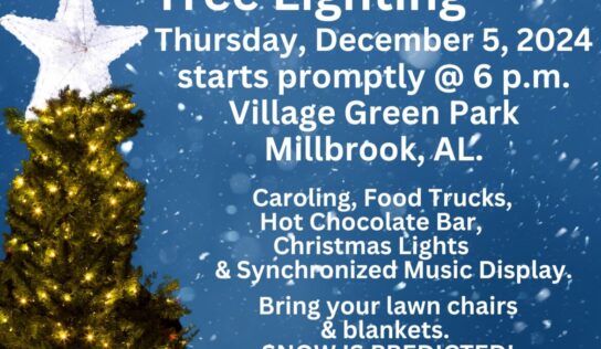 Millbrook’s Tree Lighting, Parade offers fun for families