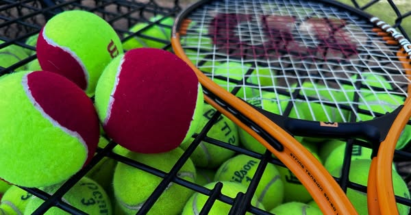 Newton Park to hold Tennis Just 4 Kids Class