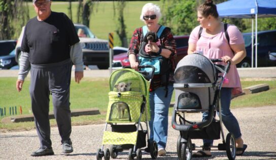 PHOTOS: PAHS’ Bark in the Park raises over $12,000 at Cooters Pond