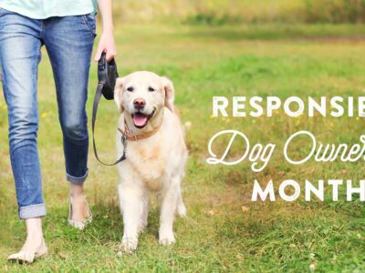 September is Responsible Dog Ownership Month!