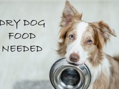 Donations to Local Humane Shelters will earn you half price admission to Alabama National Fair