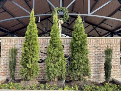 Prattville Council sets naming procedures for municipal properties, addresses sign at 124 West Main Street