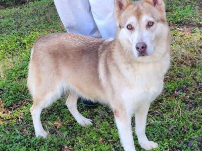 Punkin is sweet and playful!